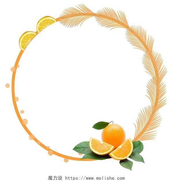 夏天黄色小清新橙子花边水果边框PNG素材